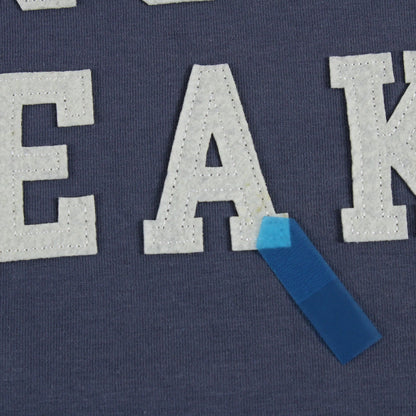 SNOW PEAK Felt Logo T shirt(TS-22AU001)