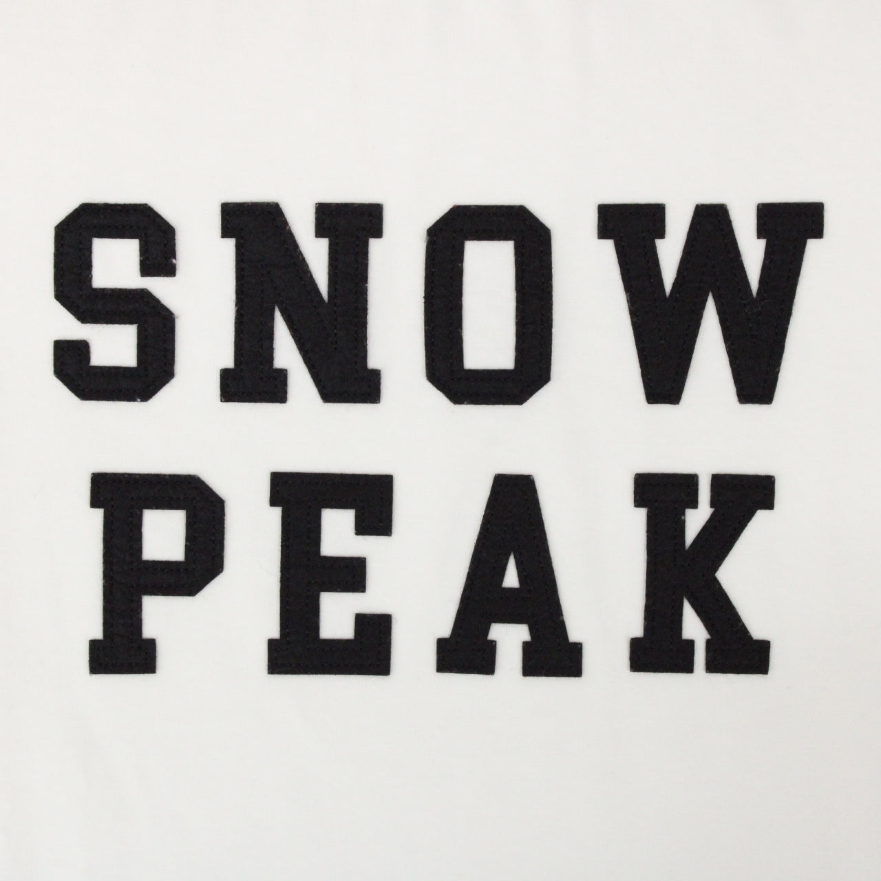 SNOW PEAK Felt Logo T shirt [L](TS-22AU001)